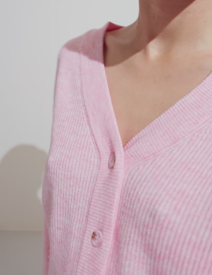 Asato-M_Begonia Pink Melange_Video_5