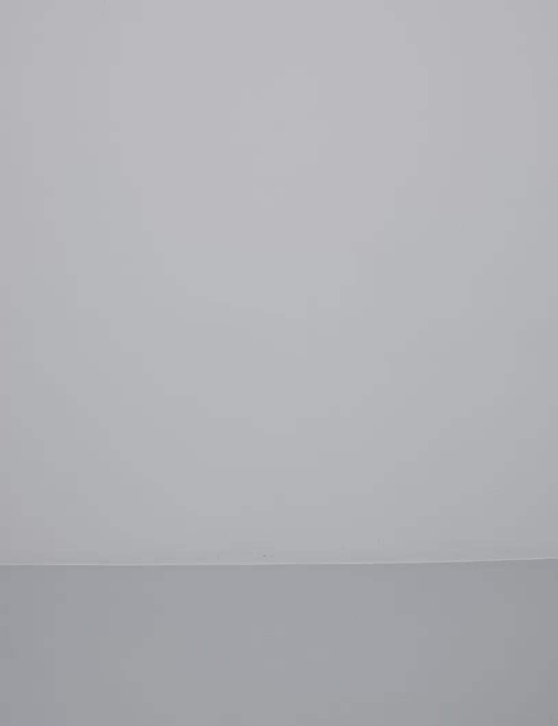 Belle-M_Smoked Olive_Video_5